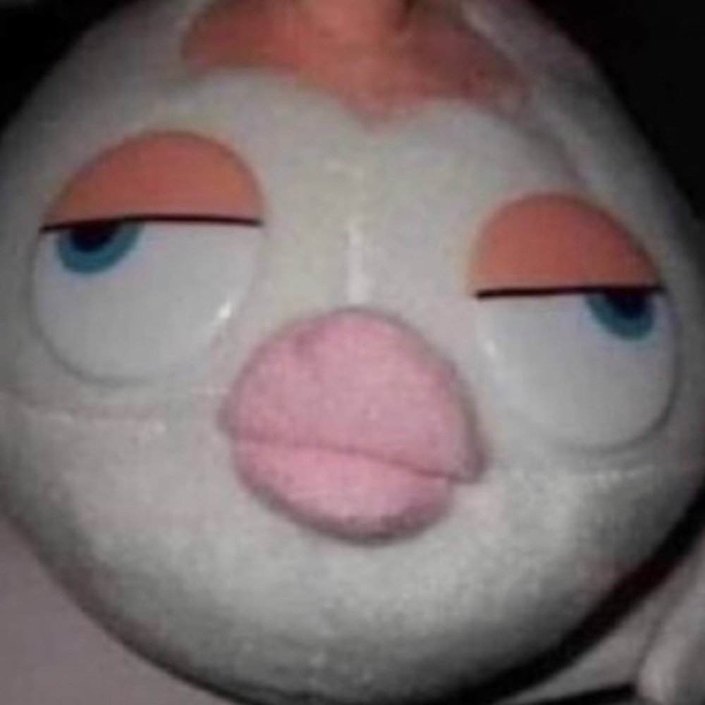 Meet your Posher, Henry